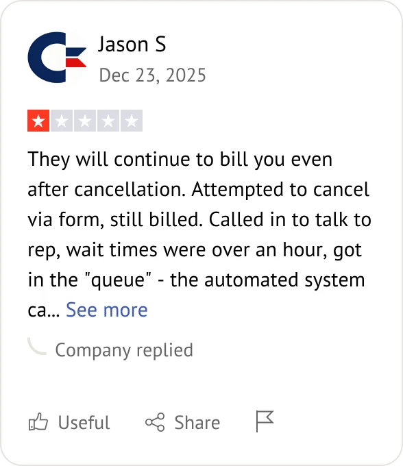 AnyViewer user review