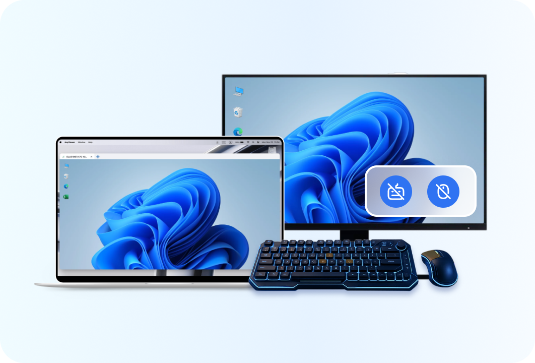 Remote support security controls