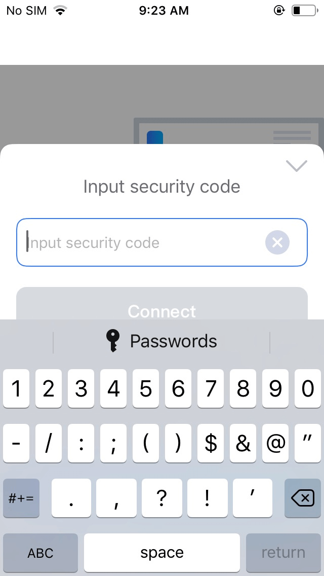 Input Security Code iPhone