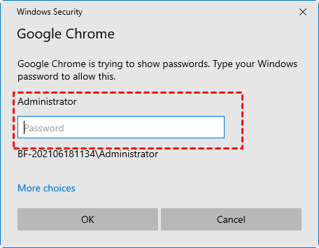 Enter Windows Password