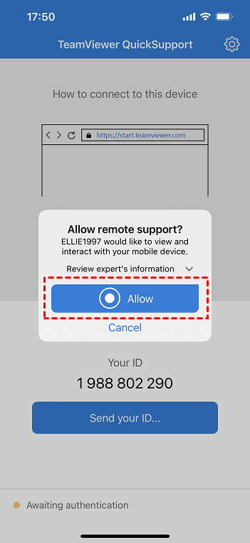 /screenshot/others/teamviewer/allow-remote-suppot-on-iphone.png