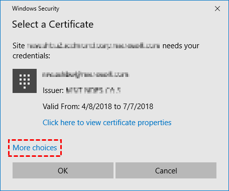 Windows Security Certificate 