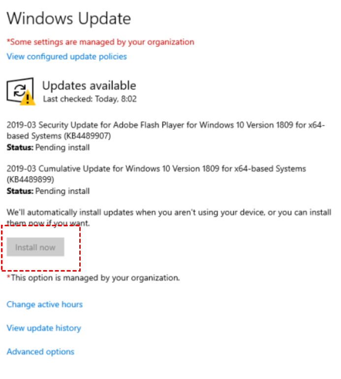 windows update install now