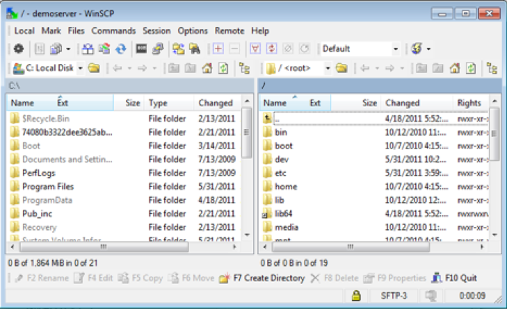 winscp file transfer window